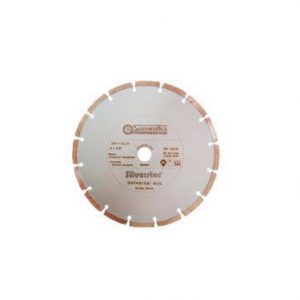 Disc segment 125*2.0*7*22 83102 (Catadeni)